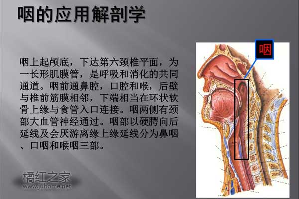 化橘红慢性咽炎，咽炎克星化橘红，橘红治疗慢性咽炎