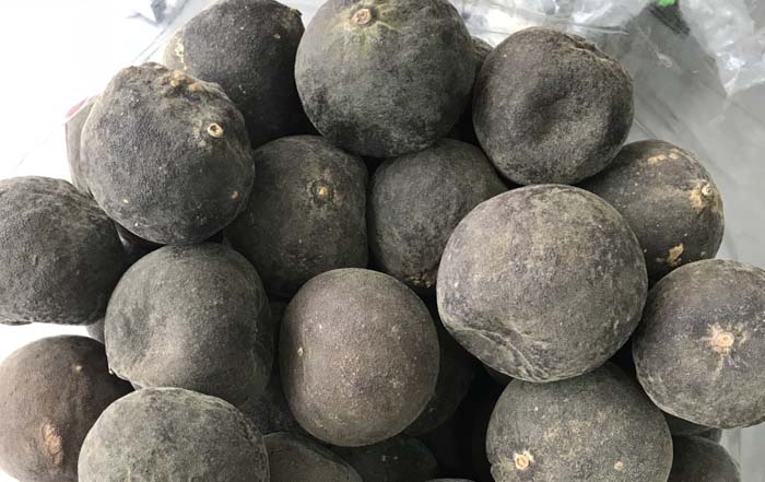 表面发黑的不明产地橘红